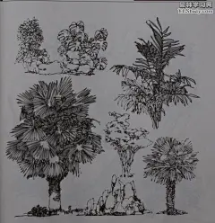 百度图片搜索_园林速写的搜索结果