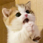 P5SB37lwFbjGWOQ