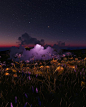 flowers & the moon