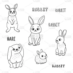 Doodle outline rabbits set with lettering. Cute ca