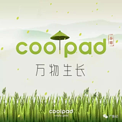 洪小妹Amei采集到(二十四节气)谷雨
