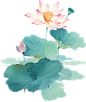 水墨风花卉插画-荷花