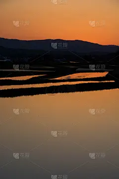 春日的稻田映着夕阳