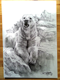 狮鸢SONNY 的插画 POLARBEAR