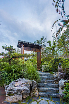 z植物入口景观