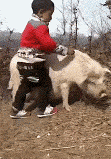 _south采集到GIF