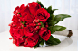 花束,礼物,影棚拍摄,室内,新娘_155395253_Red roses bridal bouquet_创意图片_Getty Images China