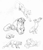 (6)Claire Wendling's Cats 猫科动物_野苼_新浪博客