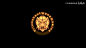 【TSG】TSG.911x断开连接_哔哩哔哩_bilibili