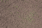 SoilMud0091_3_L