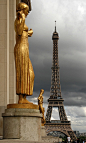 从夏乐宫看巴黎的艾菲尔铁塔

View on the Eiffel Tower from the Chaillot Palace, Paris XVI