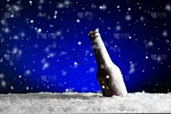 冻结的,啤酒瓶,天空,留白,水平画幅,夜晚,雪,无人,圣诞树