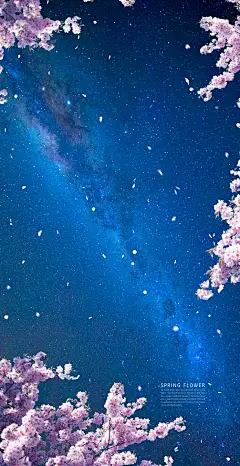 樱花银河星辰手机壁纸背景素材 : 这次要分享的是樱花银河星辰手机壁纸背景素材，psd源文件，分层设计，可用于壁纸、海报、背景、Banner等设计。