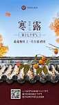 实景合成瓦顶寒露节气全屏祝福