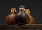 Cognac Casus – Packaging Of The World