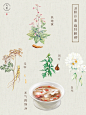 秋冬养生美食