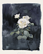 画家 黄有维 花卉水彩作品/水彩