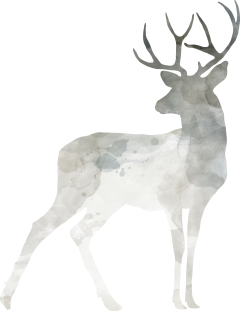 （060）1800x2336.png