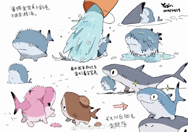 置顶 傻帽，不是，鲨猫的（部分，随缘继续...