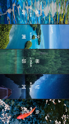 琴菜菜采集到概念图