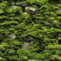 山石地表_139