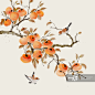 手绘柿子事事如意插画装饰画图片素材