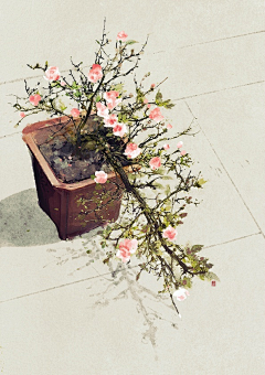 苍画枫采集到画