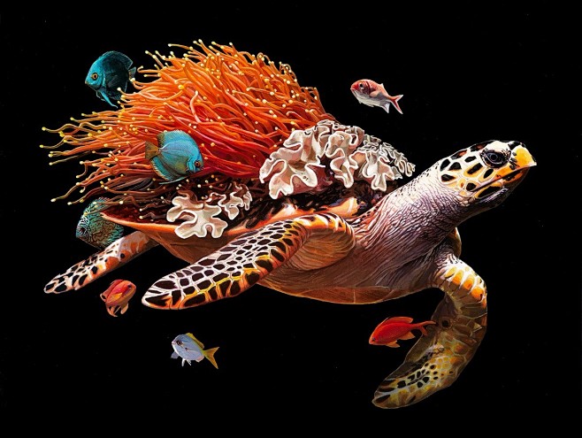 丽莎埃里克森的超现实主义插画：海龟系列 ...