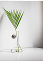 ins北欧风花器创意干花桌面小盆栽摆件绿萝水培植物玻璃透明花瓶-淘宝网