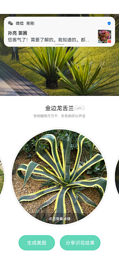 Doreen-都霖霖采集到绿篱灌木