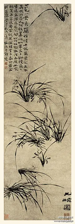 #古代书画# 清 郑燮 《九畹图》--- 该作兰叶以浓墨挥毫，藉草书中之中竖，长撇运之，多不乱，少不疏，脱尽时俗，秀劲潇洒，作品构图新颖，格调高雅，是郑板桥兰花代表作。