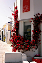 希腊圣托里尼岛Oia小镇。