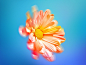 botanical color designer Digital Art  floral Flowers Nature photoshop shelby shelby hanlon