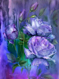 Raindrops on lavander roses by Carol Cavalaris.