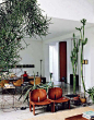 Living the Cactus Life: the plants are as important as the furniture. Home of Maurizio Zucchi. Mr Zucchi is the from the Zucchi company, a famous and well-known Italian label that make luxury house…