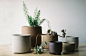 Bridget Bodenham Planters_meitu_2.jpg