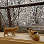 日系猫咪羊毛毡图片