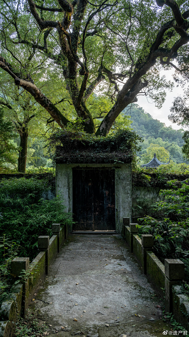 热门 - 热门微博 - 微博