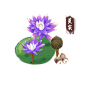芡实