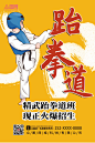 跆拳道海报