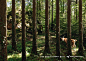 Landscape and Animal Park Goldau: Lynx