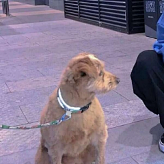 吹晚风吗：采集到情头ing