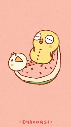 #查查斯小壁纸# 我想要躺在西瓜上，吃吃吃完了呼呼呼 ​​​​