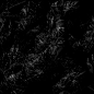 ER 624_RI vol 02_161