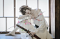 Souji Okita (薄樱鬼 ～新选组奇谭～) | somei : Souji Okita (薄樱鬼 ～新选组奇谭～)