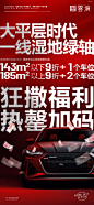 20240527 一线湿地绿轴