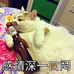 油牌表情包@楼板娘 ​​​​