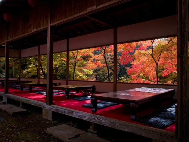 日本庭院   摄影   