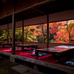 日本庭院   摄影