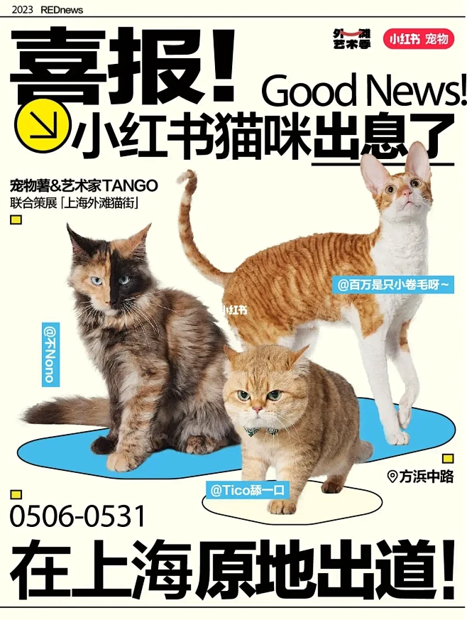 小红书外滩猫街｜速来上海方浜中路打卡